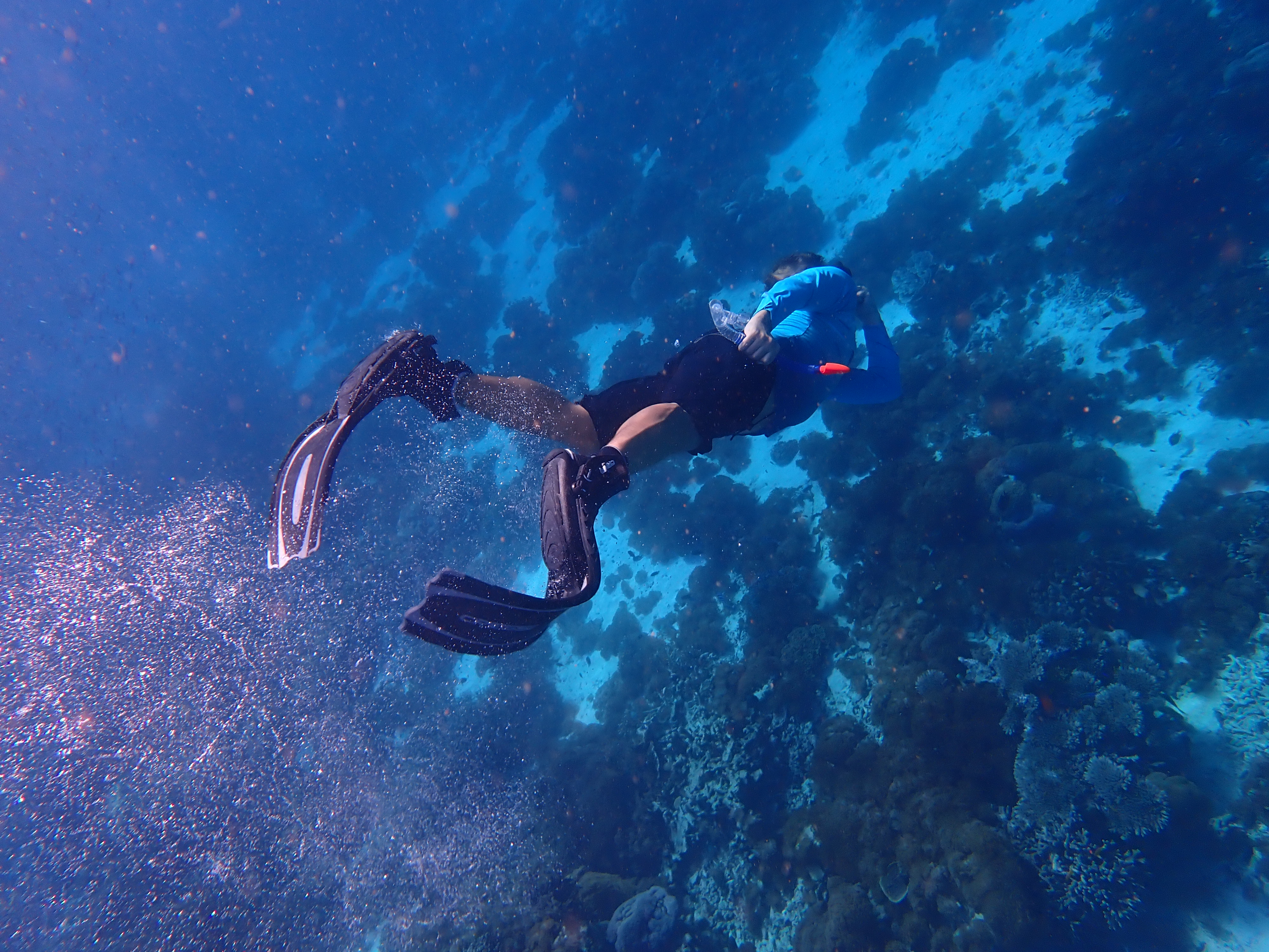 Diving Initiation