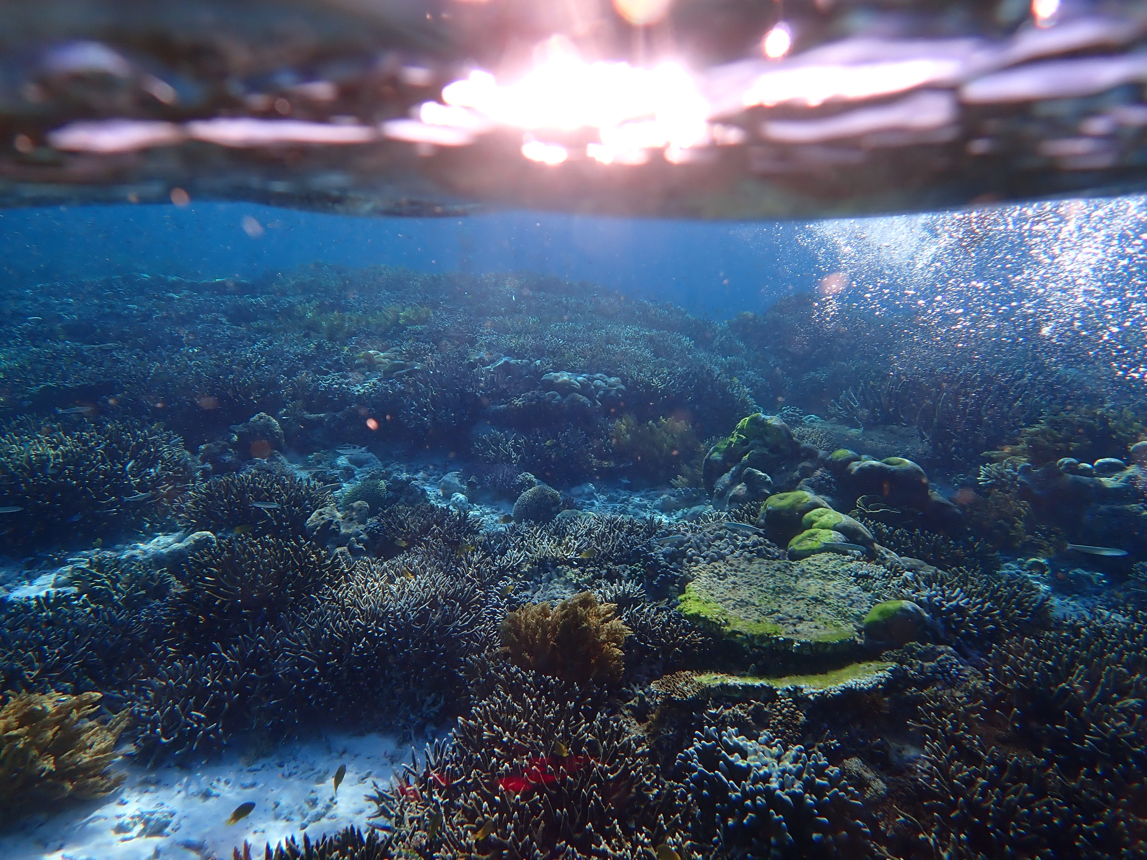 Underwater Mindfulness - Project in Development