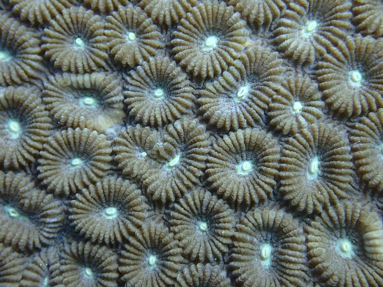 Aquatic Ecology Course