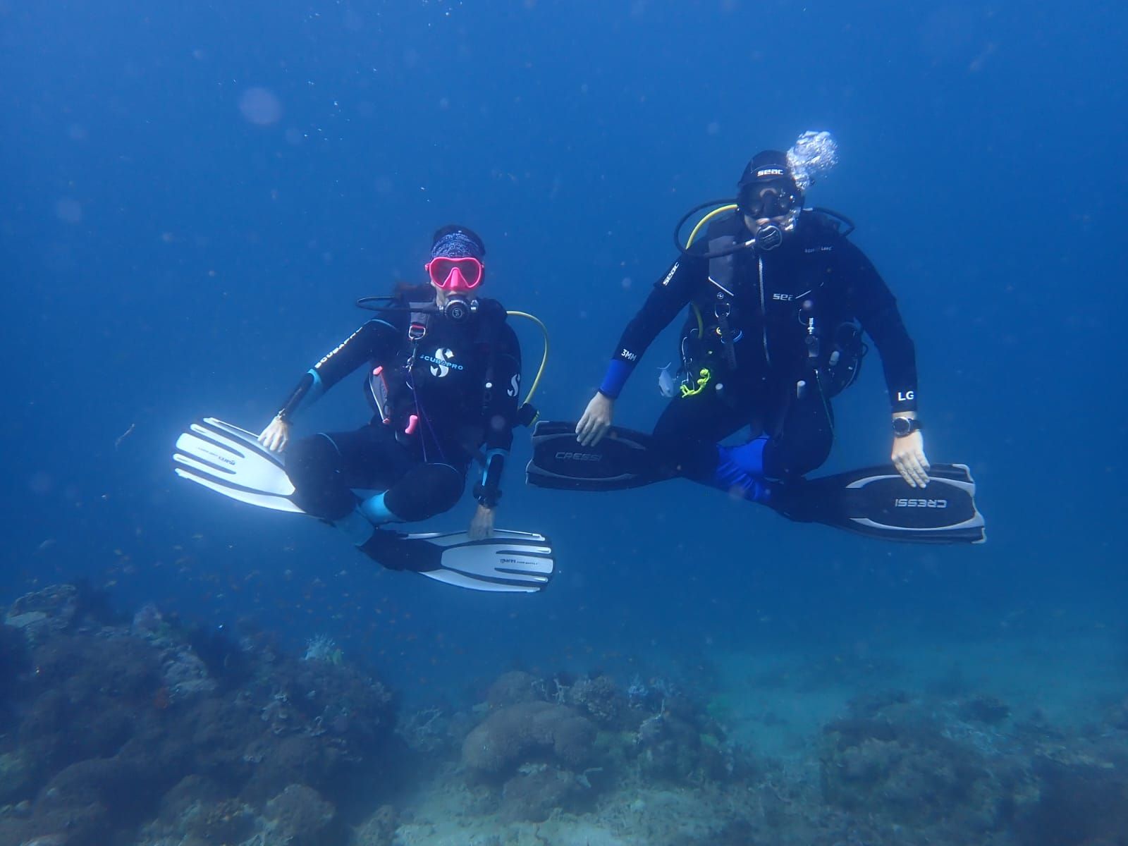 Welcome to Ocean to Earth Life - Science meets mindfulness
